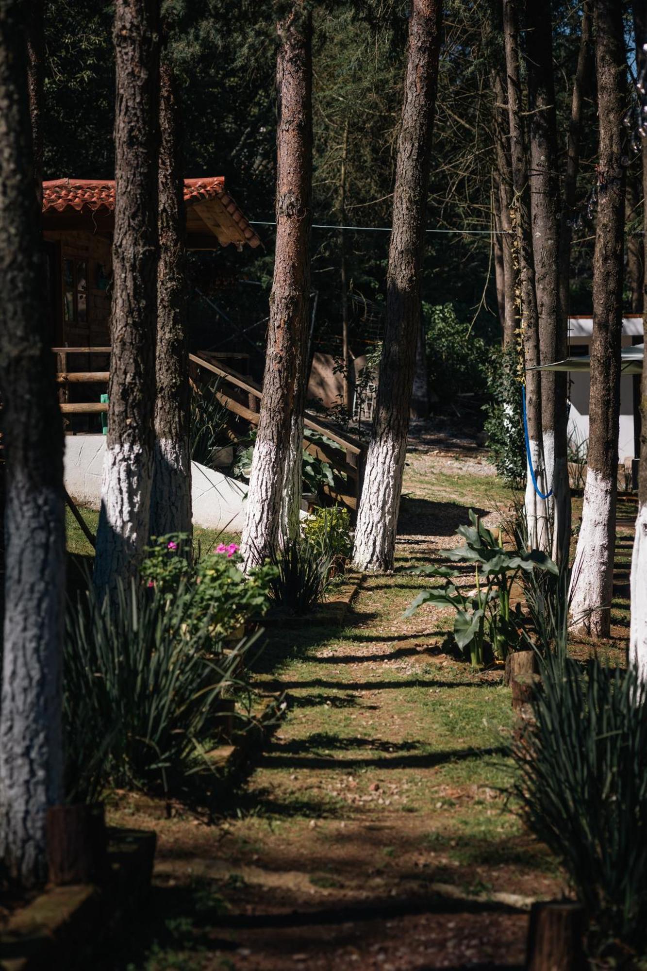 El Descanso Casa-Hotel Zacatlan. מראה חיצוני תמונה